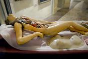 venerina museo di anatomia umana bologna 8-2022 4082